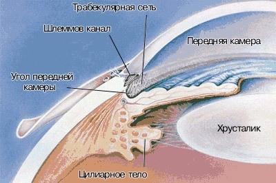 Глаукома